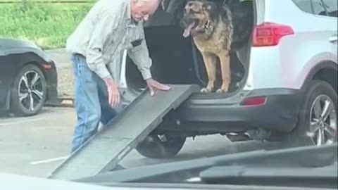 Looking after each other 😊