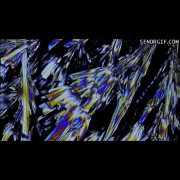 Drop D(eep) Freeze Jam