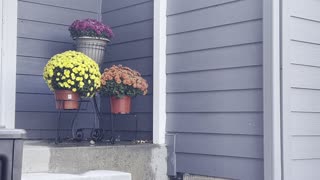 I just believe what is says