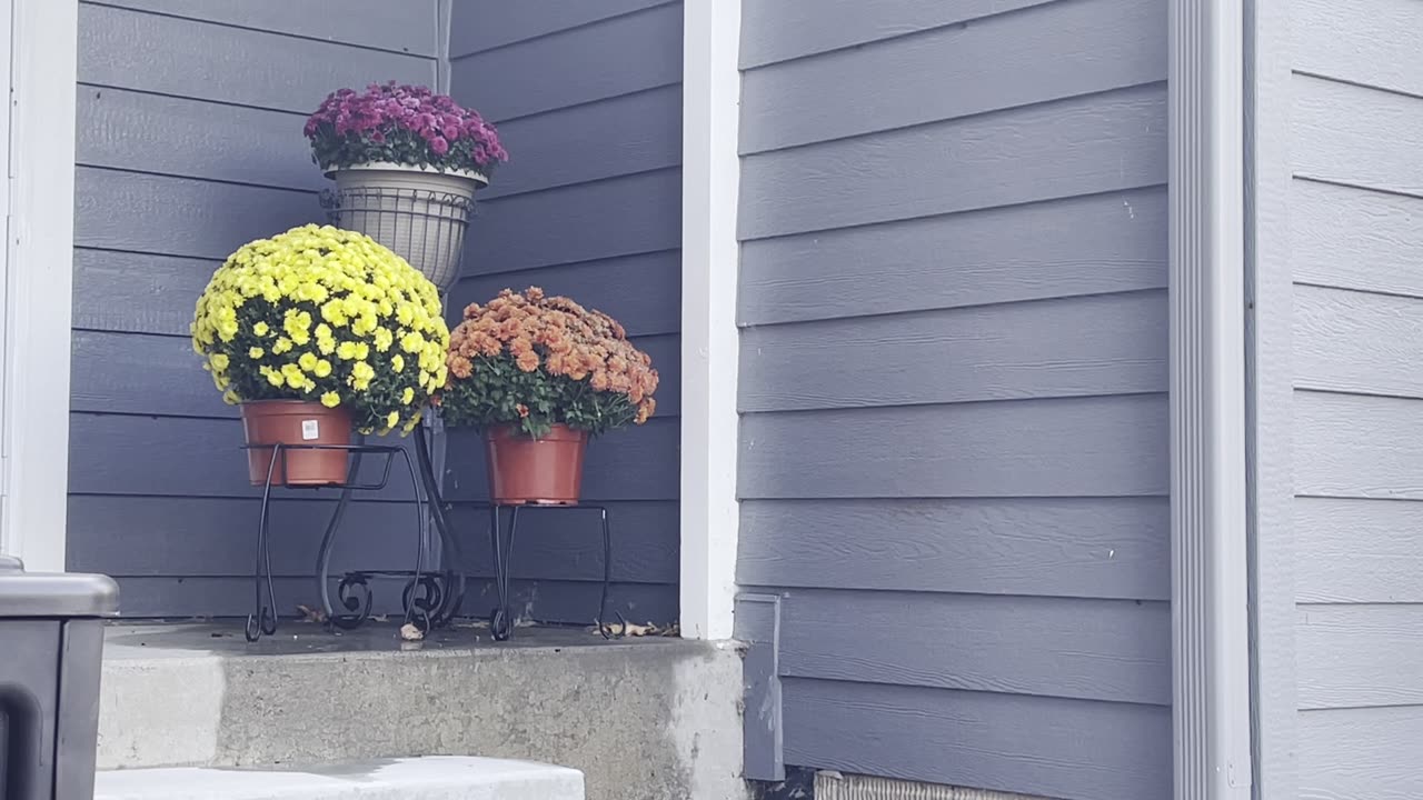 I just believe what is says