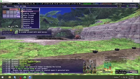 Playing Final Fantasy XI Online
