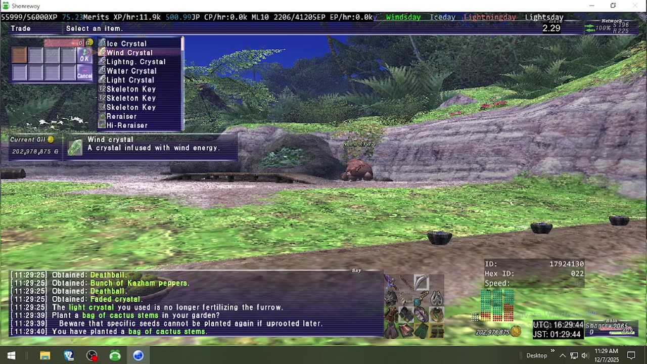 Playing Final Fantasy XI Online