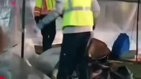 Bye Bye Antifa Camp in Chicago