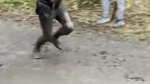 Funny & Smart Man Compilation 43 | Viral Laugh Attack 2025