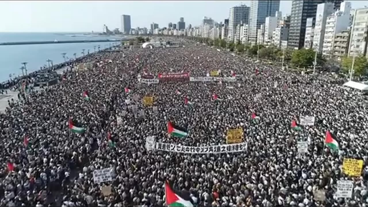 FREE FREE PALESTINE!!!!❤️❤️