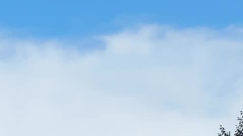 🎈🚁🔮 Balloon? Drone? Orb? | TheTruthAbove