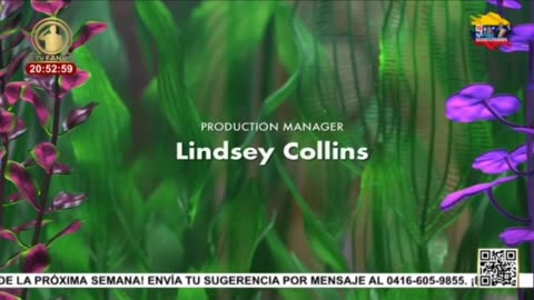 Buscando a Nemo | Créditos Finales | TV Fanb (Venezuela 🇻🇪) (18/01/2026)