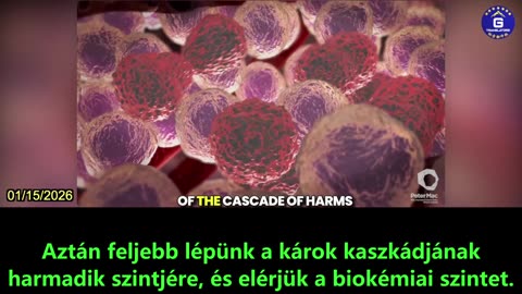 【HU】Nicholas Hulscher elmagyarázza az mRNS COVID-19 oltások okozta károk láncreakcióját