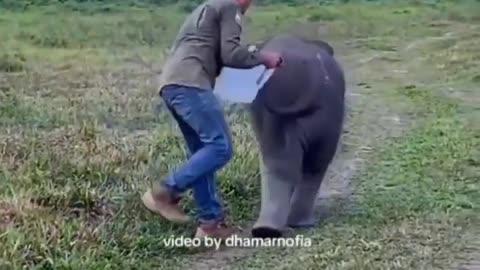 🤣🐦 Watch This Adorable Kid In A Funny Moment! Animals | FeedMyCuriosity