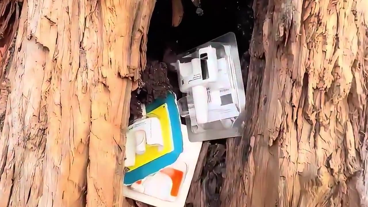 Narcan is being placed in trees and fences so it’s easily accessible for everyone that’s