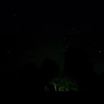 Night Sky This Time of Year at Jaya Sanctuary