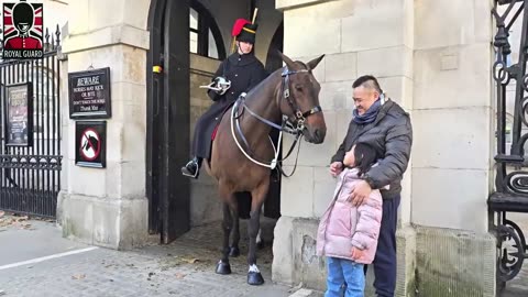 Royal Guards BREAK Character in the Most Heartfelt Moments