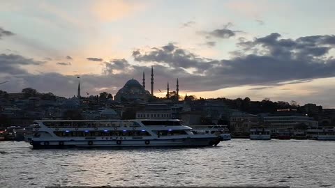 Daily Horoscope | Cancer 🌟