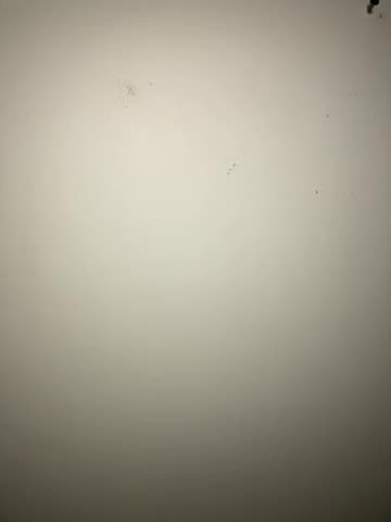 The One Big Beautiful Bill