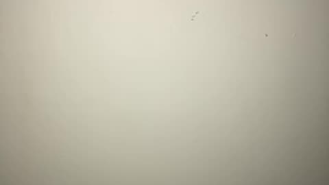 The One Big Beautiful Bill