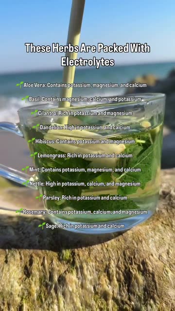 Barbara O'Neil - Herbs Packed With Electrolites