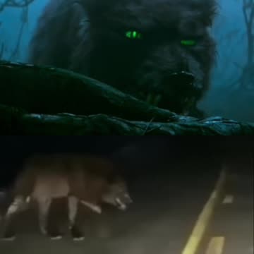 The Neverending Story's Giant Wolf the Gmork is real?