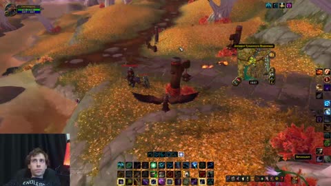 Медитативный фарм ресурсов в WoW | Летал на друиде