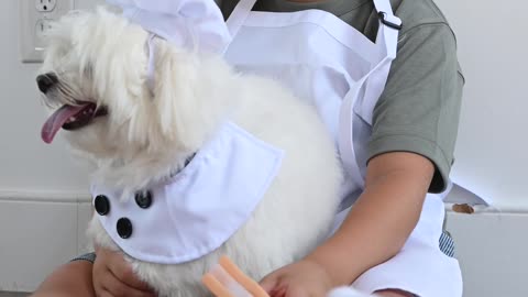 A boy in a chef hat and a white shirt