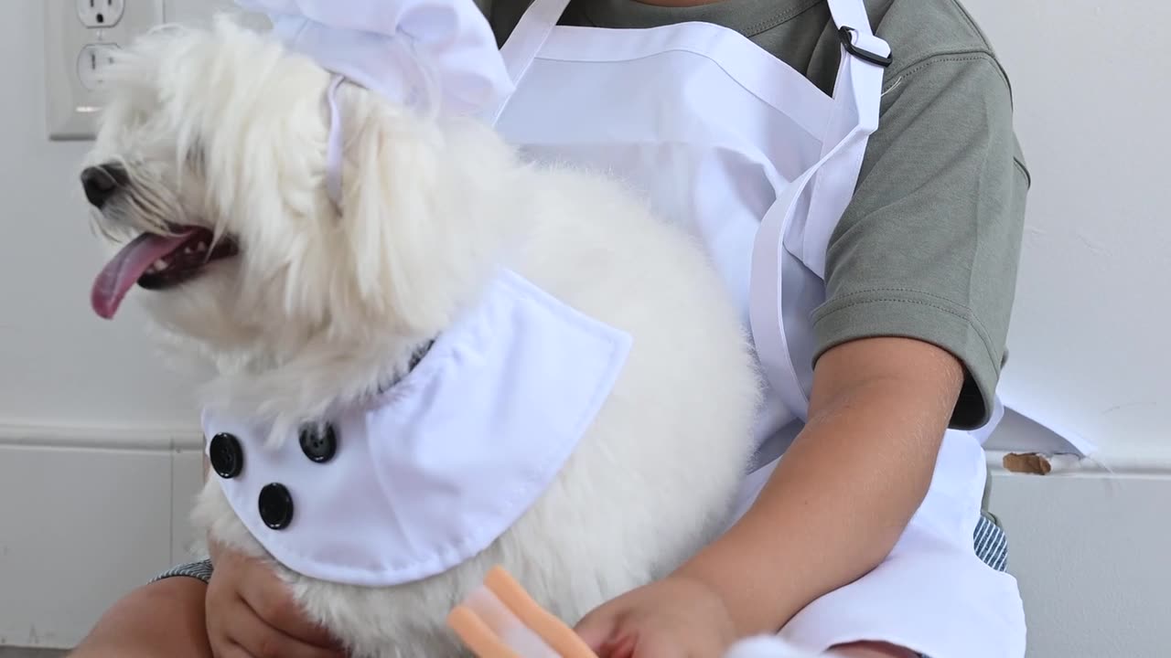 A boy in a chef hat and a white shirt