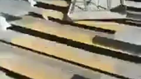 Guy slides down bleachers on a folding table (1)
