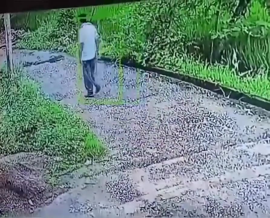 Meanwhile somewhere in India, someone is.. RIP. (Rest In Poop!)😁