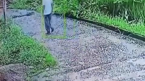 Meanwhile somewhere in India, someone is.. RIP. (Rest In Poop!)😁