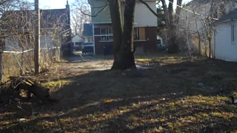 Part 2 of the follow up at Daniel_s place on the shea show