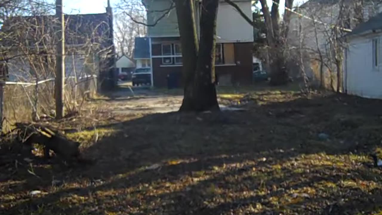 Part 2 of the follow up at Daniel_s place on the shea show