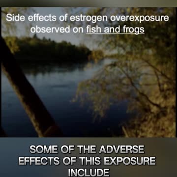 Testosterone Levels Are Falling Worldwide - THIS Could Be Why!