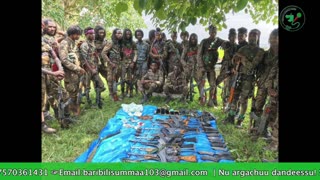 Gabaasa Tarkaanfii ONM-ABO Sadaasa 5-2025 itti dhiyaadhaa!