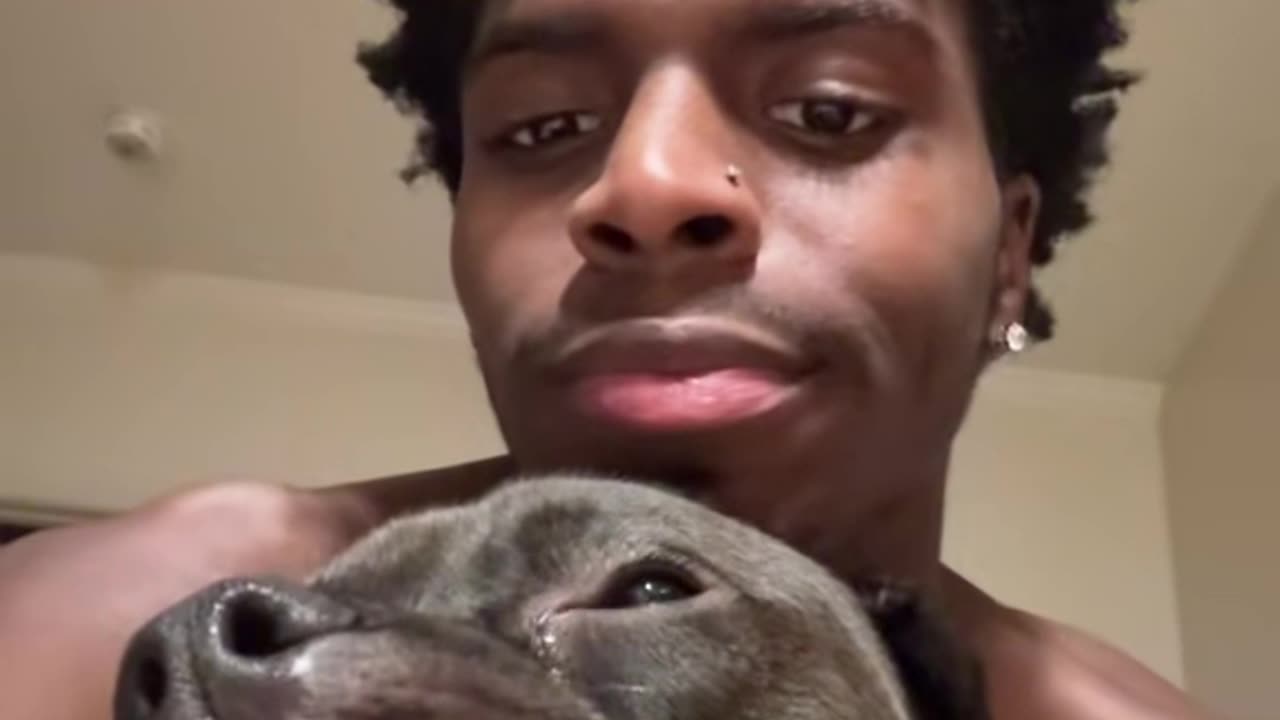 Owner Mimicking Silly Dog Face