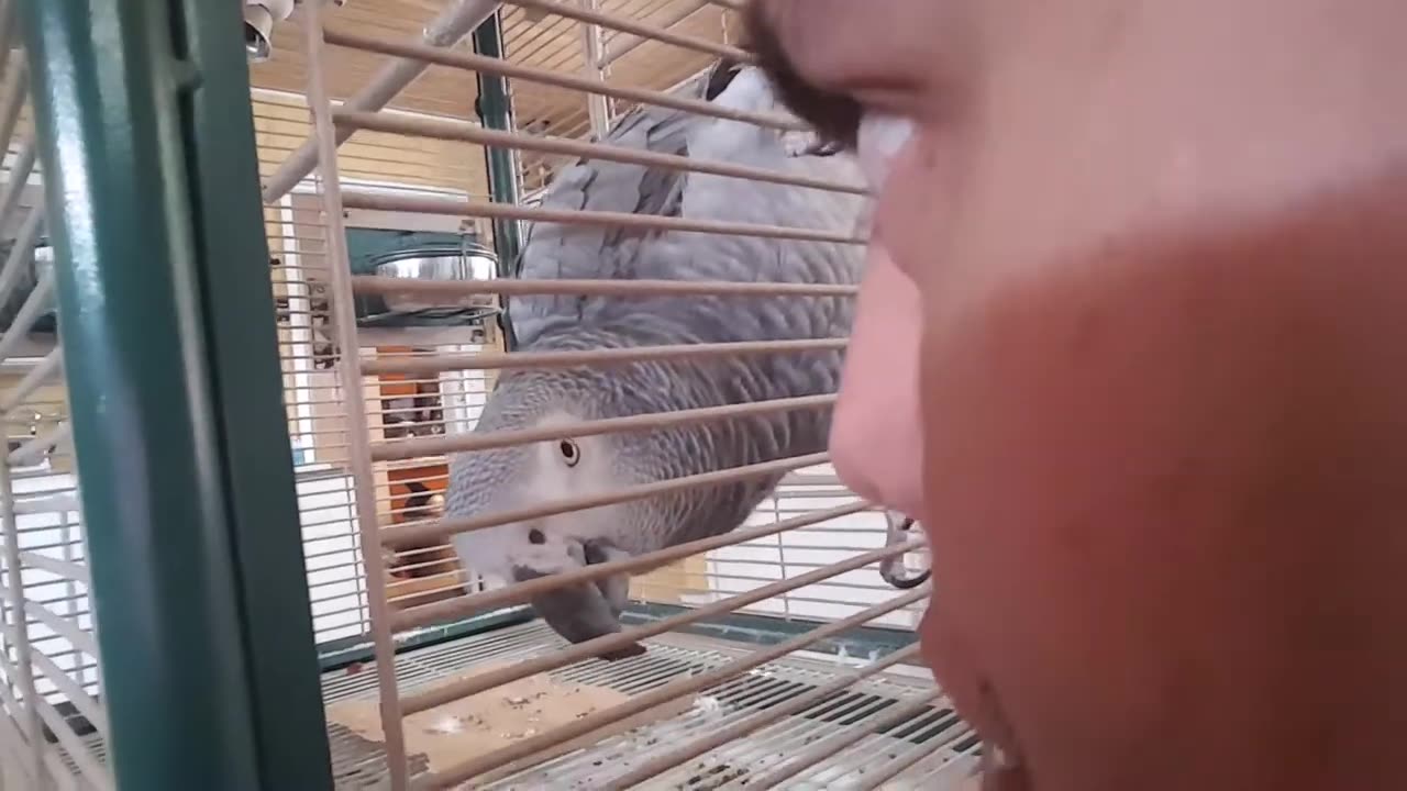 Some Day, One Day (April 13, 2018)