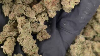 THCa Flower - 1 Oz - Holy Grail