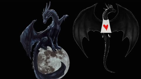 5D experience you will not understand