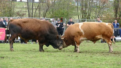 RTTD od Kokana vs Baljan od Alića Bronzani Majdan 2025