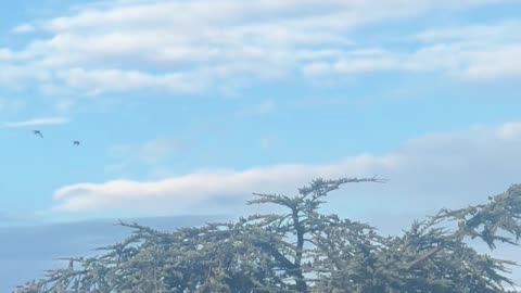 🛸🤯 What's This Mysterious Object in the Sky Over Geneva?! | TheTruthAbove