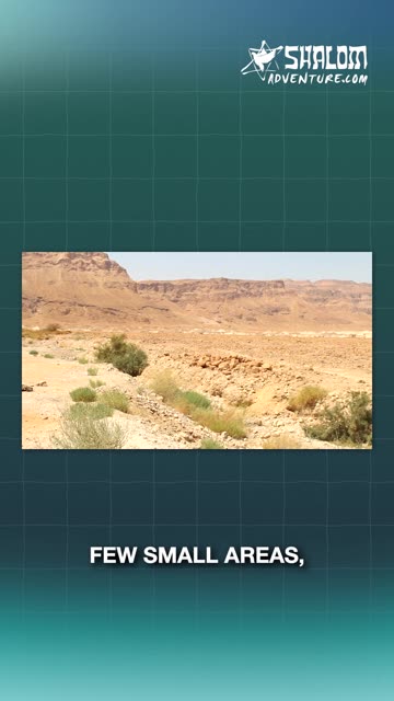 Is This What's Left of Sodom?