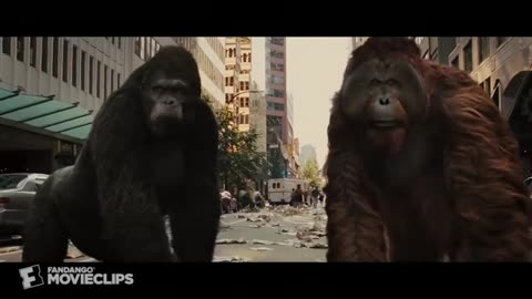 20. Rise of the Planet of the Apes (2011) - Attack on San Francisco Scene (35) Movieclips