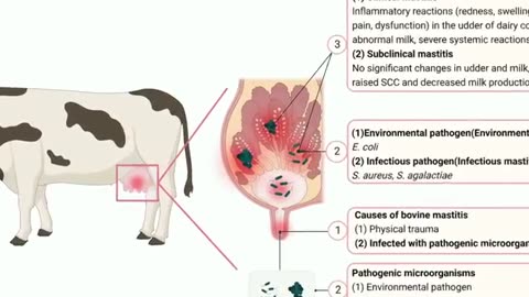 Why Medieval Raw Milk Was A Superfood While Your Modern Milk Makes You Sick
