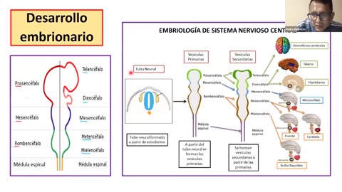 ADC SEMESTRAL PARALELO 2025 | Semana 09 | Biología