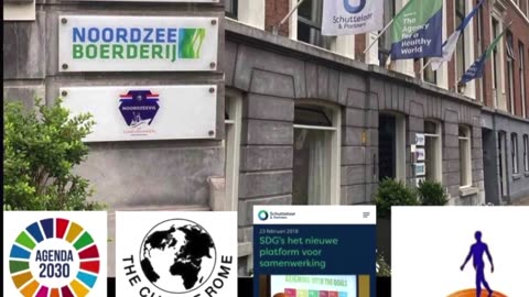 Wat gebeurt er allemaal op Zeestraat 84 in Den Haag?