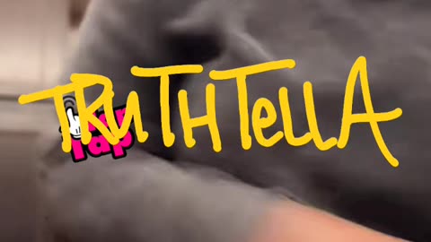 MONICA CLAY GOING OFF ABOUT NOT SEEING HER DAUGHTER 3RD SHIFT