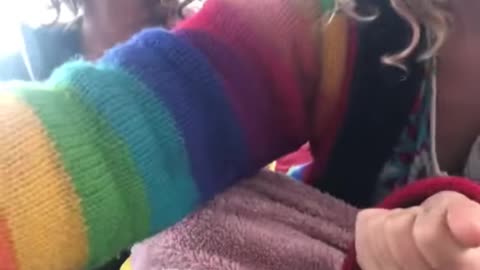 🍓HUGE “wild strawberries” (Smultron) 🍓