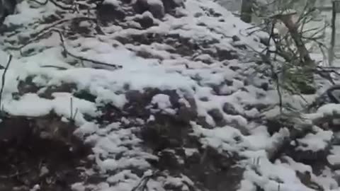 🏞️📺 Ukraine Russia War | Archive Footage of Battles for Serebryannoye Forestry | RCF