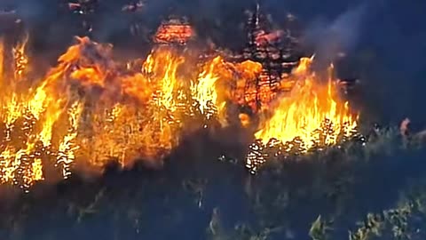 The Bloodiest Battle Between Man and Monster 🩸🔥 #GruntVampireV3 #VampireMovie #DarkAction