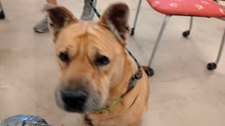 VID_20251102_134905557