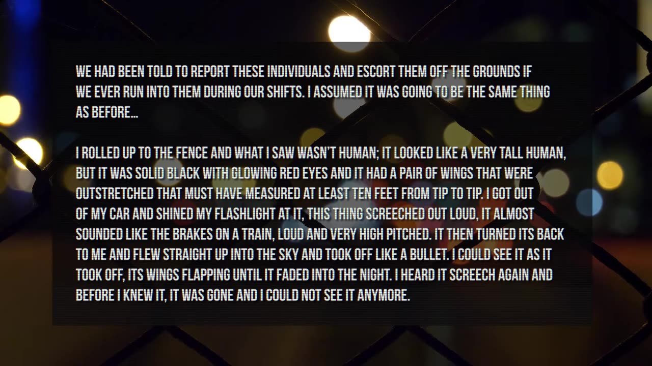 The Lake Michigan😳 Mothman Sightings in Chicago