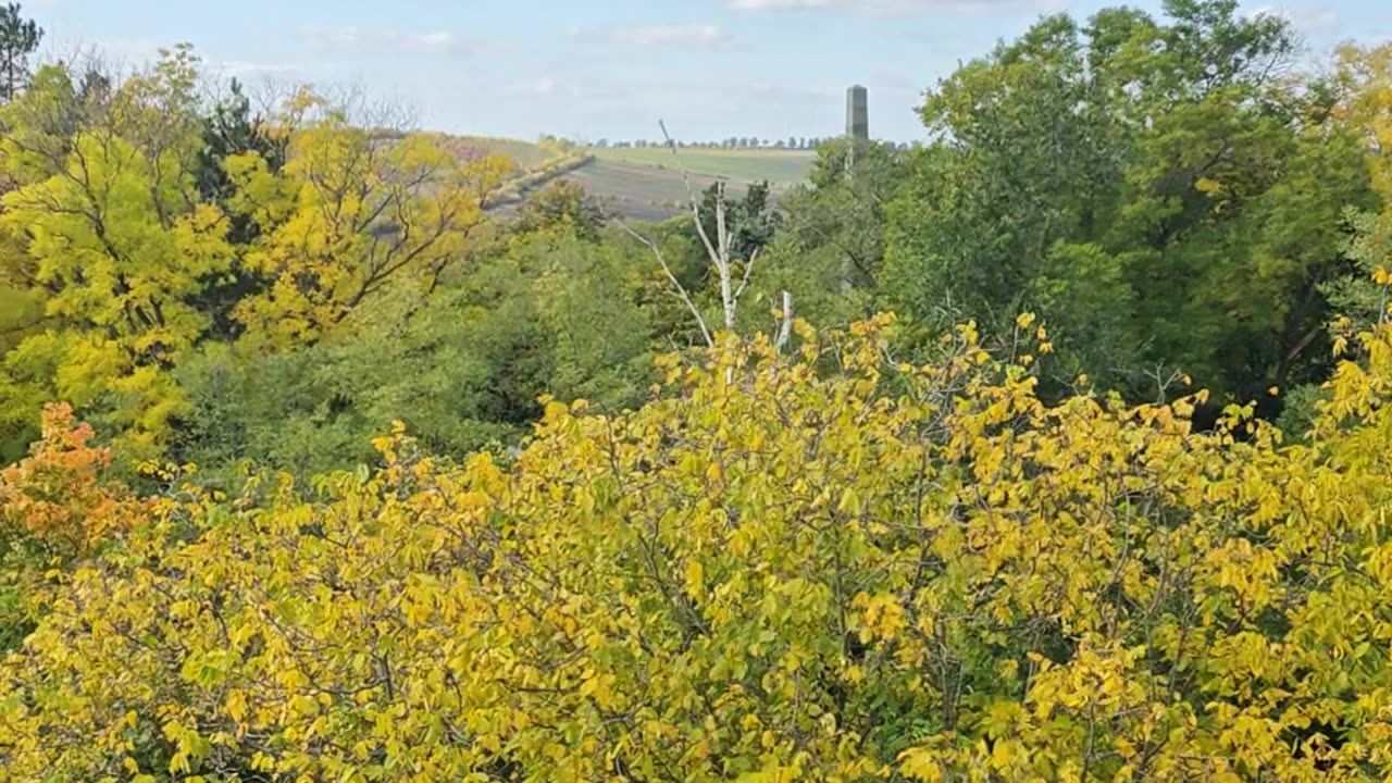 Autumn in a quiet neighborhood Part 1