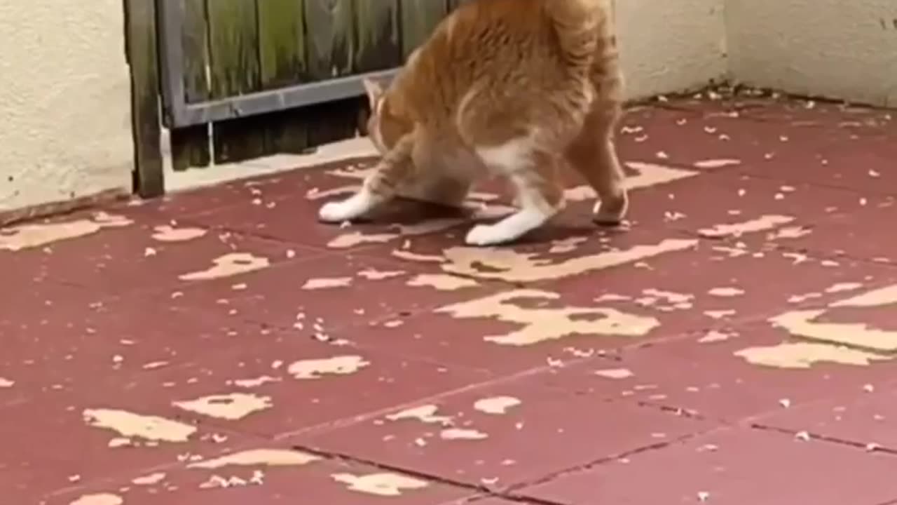 News Break